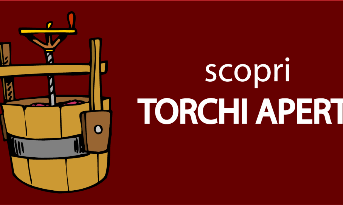 117597_TorchiIMG1