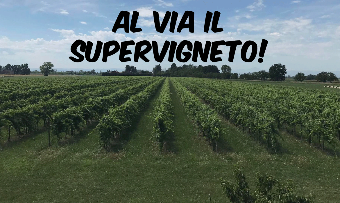 Al-via-il-supervigneto