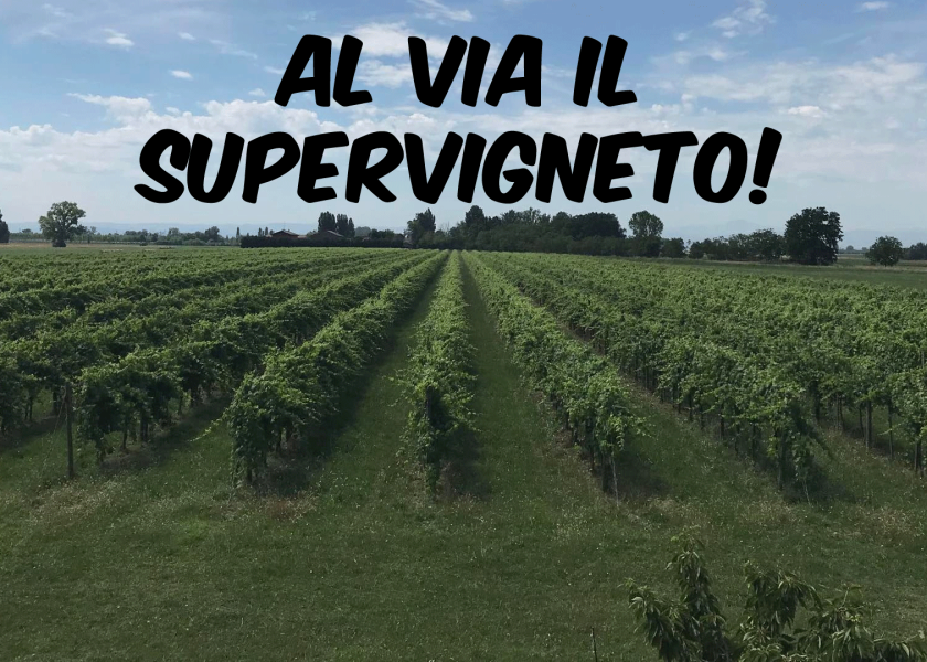 Al-via-il-supervigneto